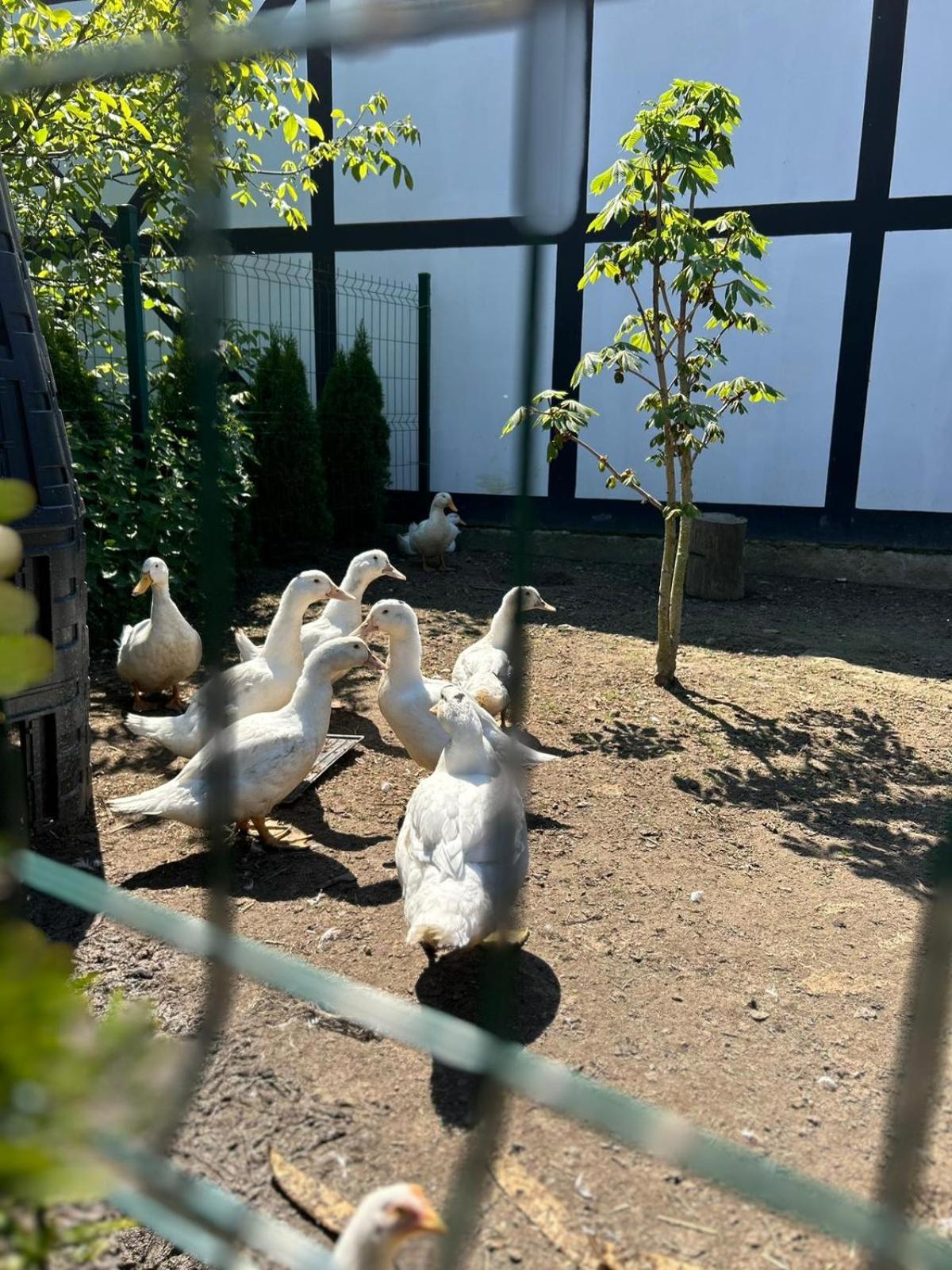 Pokoje Goscinne Nad Morzem Bobolin Exterior foto